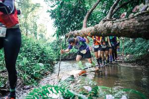 BIB: 
                            <button type="button" onclick="openModal(25459540)" class="btn btn-primary btn-sm float-right btn-popup" data-toggle="modal" data-target=".modal-high-quality">
                        <i class="fas fa-shopping-cart"></i> Add to Cart
                    </button>
                                            <button type="button" onclick="isThisMe(25459540, true)" class="btn btn-success btn-sm float-right btn-popup btn-isme hidden" data-toggle="tooltip" data-placement="bottom" title="นี่คือรูปของคุณใช่ไหม คลิกที่นี่เพื่อเอาเข้าอัลบั้ม">
                        <i class="fas fa-plus"></i> Add to album
                    </button>
                    <button type="button" onclick="isThisMe(25459540, false)" class="btn btn-warning btn-sm float-right btn-popup btn-isnotme hidden">
                        <i class="fas fa-ban"></i> Remove from album
                    </button>